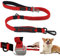 Eastlion Bungee Hundeleine Elastisch,Ruckdämpfer Hund,Anti Zug Stoßdämpfer Reflektierend Hundeleinen mit 2 Griff,Starkes Trainingsleine mit Auto Sicherheitsgurt für Mittlere und Große Hunde-Rot