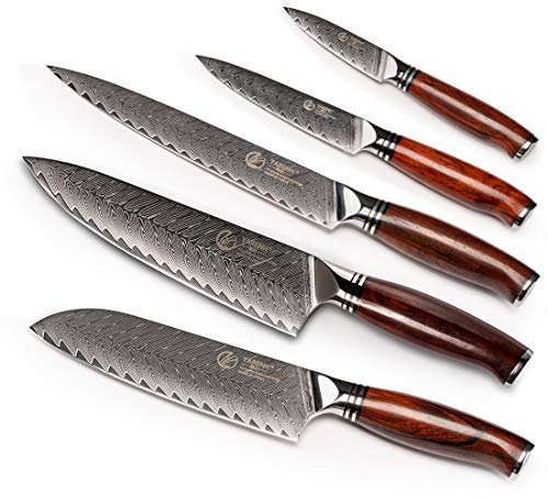 YARENH Set Couteau Cuisine 5 Pièces, Acier Damas 73 Couches Couteaux de Cuisine Professionnels, Avec Bois de Santal Poignée, Ensemble de Couteau de Chef Pour Coupe Viande Légumes Fruits