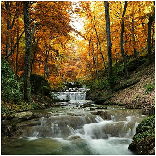 Wallario Memoboard aus Glas mit Motiv, Magnet-Tafel in 50 x 50 cm in Premium Qualität Kleiner Bach über Steine im Herbstwald