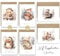 Weihnachtskarten 36 Premium Weihnachtskarten mit Umschlag Set - A6 Postkarten mit Tierisch Schön, Kleine Weihnachtskarten für Kinder Merry Christmas Cards Grußkarten Weihnachten Hase Eule Eichhörnchen