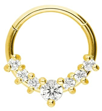 DIPZO 16G Septum-Piercing-Schmuck, 8 mm Edelstahl-Septumring, Daith-Clicker-Ohrringe für Helix-Knorpel, Damen & Herren