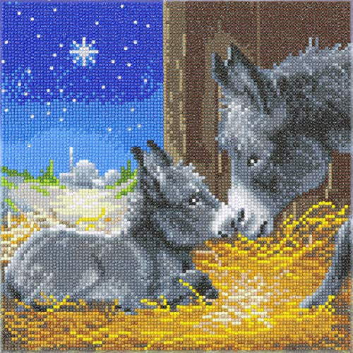 CRYSTAL ART Kristallkunst Bilder, Mehrfarbig, 30x30