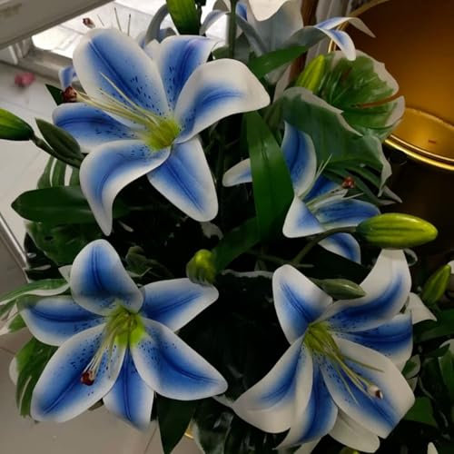 Giglio - Gradevolmente Profumato - Ottimo Come Fiore Reciso - Perenne - Bulbi Di Giglio Profumati - Fiori Vistosi - Giardino-2 Bulbi-I