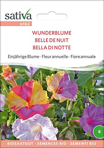 Sativa Rheinau b162 Wunderblume (Bio-Wunderblumensamen)