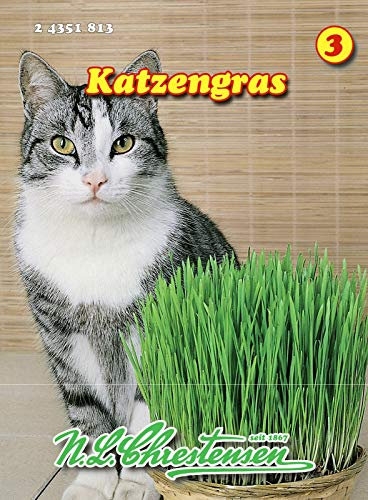Katzengras N.L.Chrestensen Samen 24351813