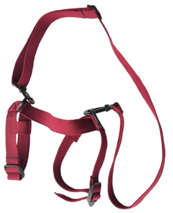 Parliky Praktischer Verstellbarer Tragegurt aus Polyester für Picknickdecke und Yogamatte Robust Faltbar für Outdoor Reisen und Camping Geeignet