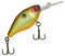 Illex Deep Diving Chubby 38F Wobbler 4,7g Muddy Roach