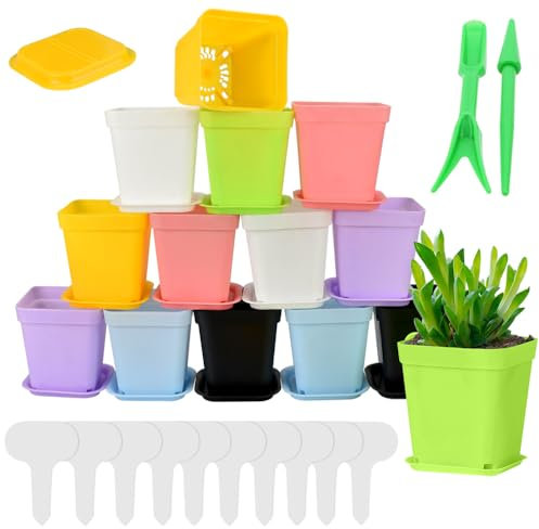 CAREDGO 14 Stück Anzuchttöpfe 7cm Pflanztöpfe Klein Blumentöpfe Kunststoff Vierkanttöpfe Mini Sukkulenten Topf Anzucht Rosentopf Tomatentopf für Setzlinge Obst Gemüse Sukkulenten Umpflanzen (7 Farben)