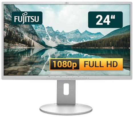 Fujitsu Display B24-8 TE 24 Zoll Business Computer Monitor, Desktop Gaming Monitor, Full HD (VGA - DisplayPort - DVI - Lautsprecher - USB-HUB - VESA), PC Bildschirm, Marmorgrau (Generalüberholt)