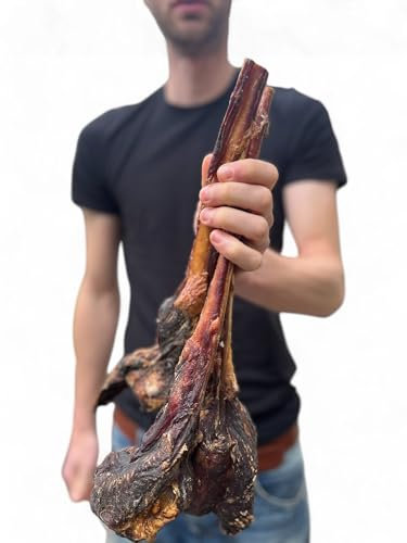 Ochsenziemer mit Fleischkeule 500g Kausnack mit Keule Hundeleckerli natürlich Rind mit Zahnreinigung
