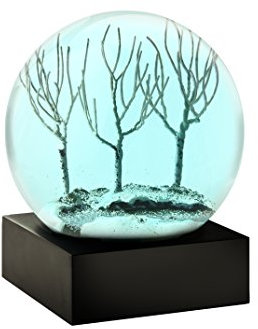 CoolSnowGlobes Winterabend Schneekugel