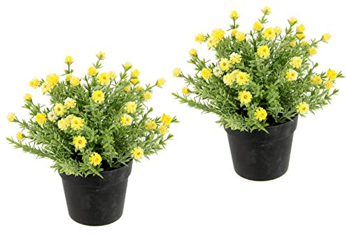 Flair Flower Blütenbusch im Topf Künstlich Wachsblume Heidenkrant Busch Tischdeko Mittelstück Hochzeitsdeko Kunstblumen 020998G Gelb 20x18x18 cm