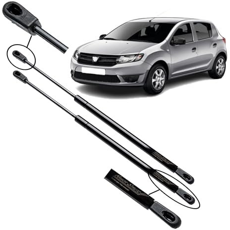 Ramor Strutz 2x Verin de Hayon Compatibles avec Dacia Sandero 2012-2020. Ressorts à Gaz pour Hayon, Verins de Coffre. Remplacement pour 904529943R et d'autres.