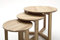 Robas Lund Couchtisch Beistelltisch 3er Set Massivholz Asteiche geölt, Braun