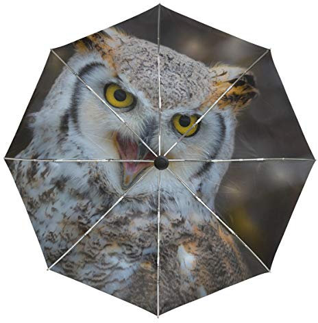 Lenenl Regenschirm mit Eulen-Motiv, winddicht, automatisches Öffnen und Schließen, leicht, kompakter UV-Schutz