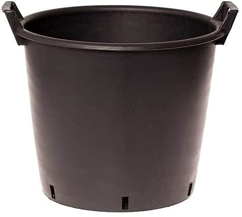 Muddy Hands Heavy Duty Large Plastic Plant Pot with Handles Outdoor Garden Vegetable Salad Flower Tree Planter Container (1, 130 Litre)