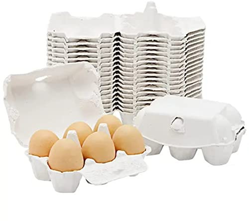 Comphic Cartones de Huevos de Papel de 40 Piezas para Huevos de Gallina Soporte de Fibra de Pulpa Capacidad una Granel para 6 Huevos Mercado AgríCola Viajes