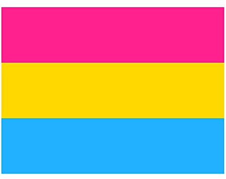 Teksome Bandera Pansexual 3x5 pies - poliéster con Ojales Bandera Bisexual omnisexual | Gran Pancarta Pan Pride para decoración Interior, Exterior, Desfile