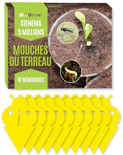 Stenema 5 Millions + 10 Pièges Jaunes - SF Nématodes Mouches terreau. Contre Larves de Mouche de terreau. Anti moucherons intérieur. Contre Larves dans Les Plantes d’Interieur. 100% Naturelle. 10m²