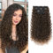 Clip in Hair Extensions, FLUFYMOOZ 4PC 100％ Pure Protein Silk Hair Extensions Long Soft Natural Hairpiece 20 Inch Curly Hair Extension for Women (Black with Copper Golden Blonde)