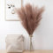 Susire Pampasgras Deko Künstlich Trockenblumen: 110 cm 3 Stück Pampasgras Groß - Trockenblumenstrauß Deko Boho Dekoration für Wohnzimmer Badezimmer Schlafzimmer, Braun