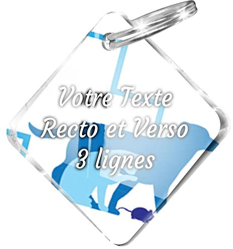 Personalisierbares Hunde-Medaillon mit Aufschrift Inspiration