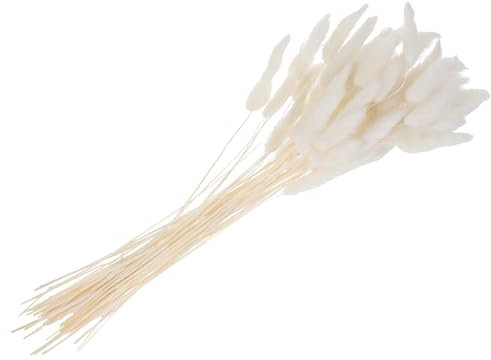 Vaguelly Getrocknete Gräser 60 /Bündel Getrocknetes Hasenschwanzgras – 60 cm Langer Blumenstrauß Getrocknetem Getrockneter Kaninchenschwanz Flauschiger Stielblumenstrauß Für Trockengras