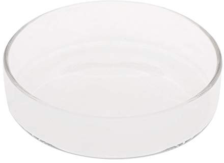 Mangeoire pour aquarium en verre pour crevettes - 6 fournitures d'aquarium - Mangeoire à crevettes - Tube d'alimentation pour crevettes et tube en verre