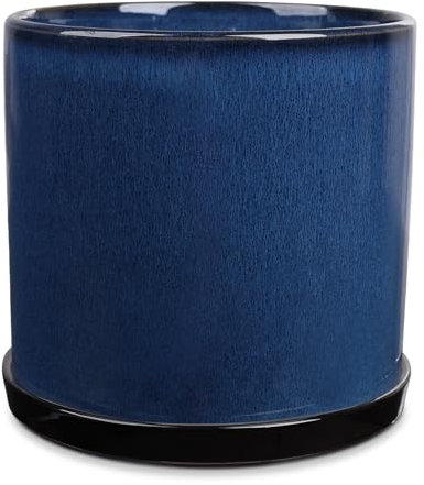 INGOFIN Pots de fleurs ronds en céramique – 25,4 cm avec trou de drainage, pour plantes d'intérieur ou d'extérieur, élégant rétro noir et bleu