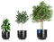 BigDean 3er Set Blumentopf ø 40 + 46 + 58 cm anthrazit mit herausnehmbaren Innentopf - wetterfester Blumenkübel aus bruchsicherem Kunststoff - Pflanzkübel groß Außen & Innen geeignet