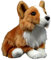 Tiny Heart Corgi-Hund Stofftier Plüschtier 30cm/12” realistisches Corgi-Hund Plüsch schönes Tier niedliche und weiche Geschenke Hund für Kinder Jungen und Mädchen Spielzeug braun