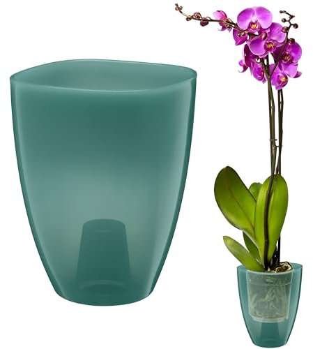 VERDENIA KAJA - Maceta para orquídeas, diseño Minimalista, Ligera, para Interiores, Polipropileno, Superficie Transparente, práctica y Funcional, 12 x 12 x 17 cm, Color Verde