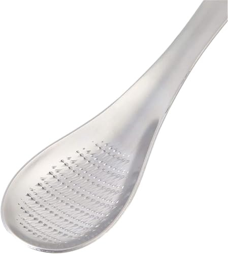 Grattugia da cucina in acciaio inox, pratica forma a cucchiaio, frullatore di frutta, grattugia zenzero, wasabi, aglio, macinatura, grattugia per formaggio