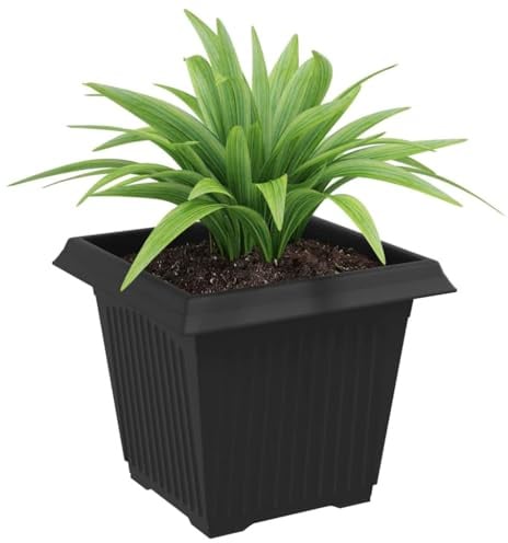 vidaXL Maceta Cuadrada para Flores 6 pcs Negro 20 x 20 x 16 cm, Balcón, Cuadrado, Moderno, Duradero, Ligero, Soluciones Espacio Exterior, Opciones Personalizables y versátiles