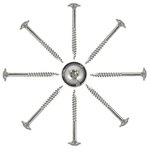 50 Stück Tellerkopfschrauben mit Schneidkerbe 5,0 x 40 mm aus Edelstahl V2A mit ETA Zulassung - Holzschrauben Tellerkopfholzbauschrauben Edelstahl Rostfrei TORX I DIOS24®