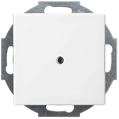 Busch-Jaeger 2527-914 Zentralscheibe mit Tragring (Thermoplast) Balance SI Alpinweiß