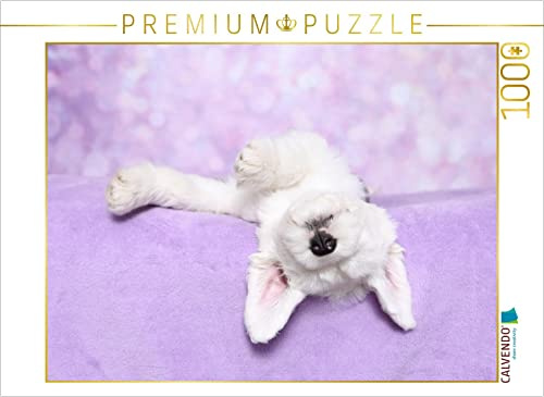 CALVENDO Puzzle Bobtail/Old English Sheepdog | 1000 Teile Lege-Größe 64 x 48 cm Foto-Puzzle für glückliche Stunden