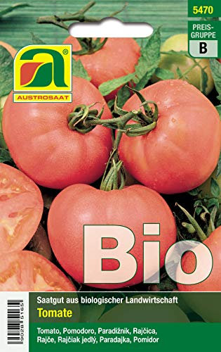 Austrosaat 5470 Tomate Berner Rose (BIO Tomatensamen)