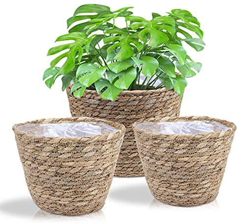 JNRFTY Set of 3 Braided Old Seagrass Hand-Woven Planters - Flower Pot, Plant Basket