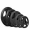 Bodymax Olympic Cast Iron Tri-Grip Weight Plates (25, Kilograms)