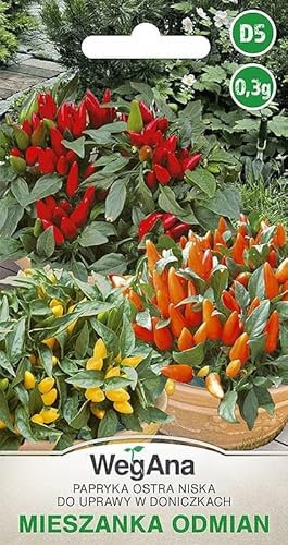WegAna Gemischte Paprika der scharfen Sorten 0,3g Robuste Gemüsesamen Gemüse Samen Anzucht Saatgut für Gewächshaus Rot, Orange und Gelb