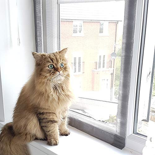 Flat Cats window screens - Twin Pack - Selection of sizes (60cm x 110cm, Grey Mesh/White Fixings)