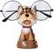 Xnferty Tier-Brillenhalter, GOG-Kaninchen, Elefant, Brillenständer, Halter, Brillenzubehör, Niedlicher Kreativer Brillenhalter, Ständer, 3D-Harz, Tier-Brillenständer für Schreibtisch,(Multicolor)