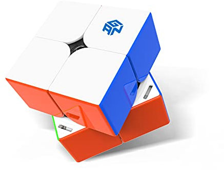 GAN 251M Pro Zauberwürfel 2x2 Magnetischer Speedcube stickerlos 251 Mini Cube 63 Magnete Puzzle Spielzeug für Anfänger innen (Matte Frosted-Oberfläche weißes Innenleben)