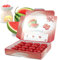 Wassermelonen-Wachsschmelzwachs – 16 x 5 g Herzform, starker Wassermelonenduft, Wachsschmelzen in einer eleganten Geschenkbox – Spotless Leopard – perfektes Duftgeschenk – hergestellt in
