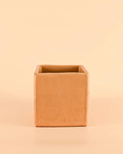 Pur Plant Maceta Cuadrada Terracota 14cm - Decorativas