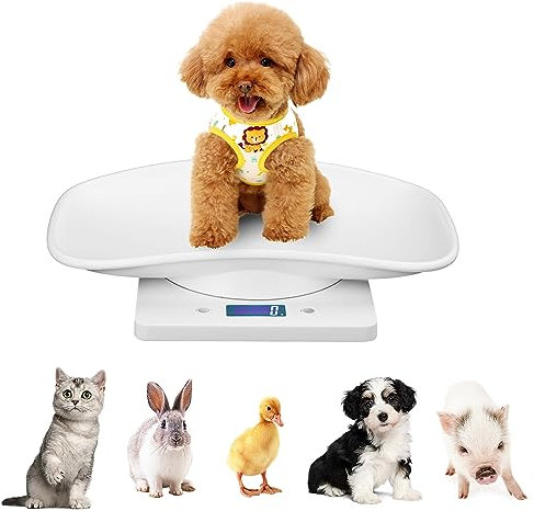 Youyijia Digitale Haustierwaage 295X185mm Mini Haustier Skala mit Bequem Gebogener Schale und LCD-Display 4 Gewichtungsmodi g ml oz lb.oz für Neugeborene Haustiere Präzisions Grammwaage Bis Zu 10 kg
