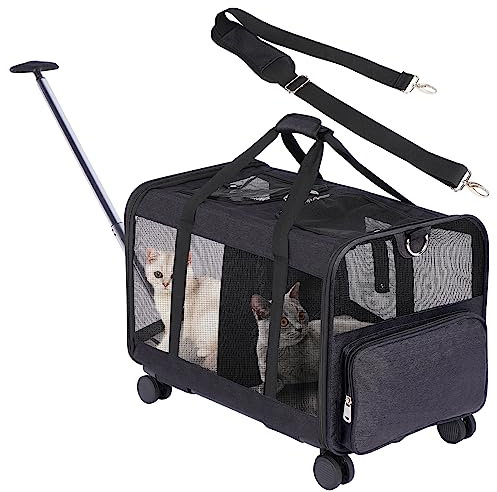 FASNATI Katzentransportbox für 2 Katzen mit Doppelabteil, Transportboxen für kleine Hunde mit Abnehmbarer Trennwand und Rollen, Faltbare Transporttasche für große Katzen bis 12kg, Schwarz