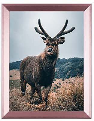 Rahmendesign24 Posterrahmen Rio 29,7x42 (DIN A3) Roségold Fotorahmen, Wechselrahmen, Bilderrahmen