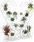 COSTWAY Support pour Plantes en Métal à 5 Niveaux, Étagère à Fleurs avec Crochet, Porte Plantes en Forme d'Échelle et de Demi-cœur, pour Salon, Balcon, 71 x 30,5 x 148 CM (Blanc)